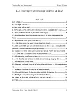 báo cáo thực tập tổng hợp khoa kế toán kiểm toán tại CÔNG TY CỔ PHẦN CÔNG NGHIỆP HOA NAM