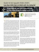 Quản trị tài nguyên thiên nhiên: Lựa chọn chiến lược và chính sách cho tương lai