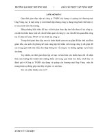 báo cáo thực tập tổng hợp khoa kế toán kiểm toán tại CÔNG TY TNHH XÂY DỰNG VÀ QUẢNG CÁO THƯƠNG MẠI ONG VÀNG.