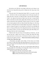 Phân tích tình hình tài chính tại Công ty Cổ Phần Thực Phẩm Hữu Nghị