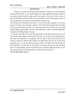 báo cáo thực tập tổng hợp khoa kế toán kiểm toán tại  của công ty cổ phần sản xuất và thương mại dịch vụ AZ