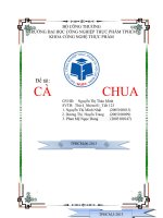 Cà chua và các sản phẩm từ cà chua