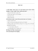 báo cáo thực tập tổng hợp khoa tài chính ngân hàng tại CHI NHÁNH NGÂN HÀNG NÔNG NGHIỆP VÀ PHÁT TRIỂN NÔNG THÔN HOÀI ĐỨC.DOC