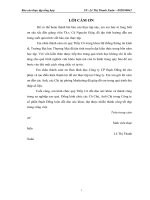 báo cáo thực tập tổng hợp khoa hệ thống thông tin Công ty CP Bạch Đằng