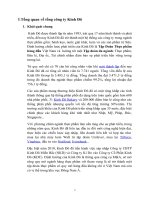 PHÂN TÍCH CÁC YẾU TỐ MÔI TRƯỜNG KINH DOANH CỦA CÔNG TY CP KINH ĐÔ