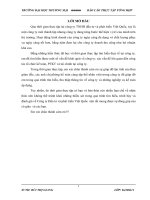 báo cáo thực tập tổng hợp khoa kế toán kiểm toán tại CÔNG TY TNHH ĐẦU TƯ VÀ PHÁT TRIỂN VIỆT QUỐC.