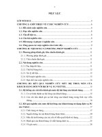 Nghiên cứu mức độ hài lòng của khách hàng đối với dịch vụ 3G của tập đoàn viễn thông quân đội Viettel