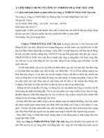 báo cáo thực tập tổng hợp khoa kế toán kiểm toán tại CÔNG TY TNHH DVTM & XNK VIỆT ANH