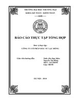 báo cáo thực tập tổng hợp khoa kế toán kiểm toán tại CÔNG TY CỔ PHẦN ĐẦU TƯ LẠC HỒNG