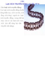 Các loại xích truyền động và phân loại xích