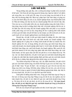 Kế toán doanh thu, chi phí và xác định kết quả kinh doanh tại cty du lịch.DOC