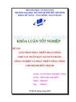 Giải pháp phát triển hoạt động cho vay ngắn hạn tại ngân hàng nông nghiệp và phát triển nông thôn chi nhánh bến thành