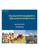 Nội dung chuyên đề  Năng lượng từ khối sinh Nông nghiệp Rơm rạ  Nghiên cứu điển hình ở Đan Mạch và Thái Lan