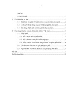 Thực trạng tiêu thụ các sản phẩm phần mềm ở Việt Nam