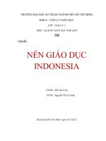 Tiểu luận môn Lịch sử giáo dục thế giới NỀN GIÁO DỤC INDONESIA