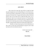 Thiết kế phương án dạy học một số bài phần “Từ trường của dòng điện chạy trong dây dẫn có hình dạng khác nhau.