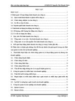 báo cáo thực tập tổng hợp khoa kế toán kiểm toán tại  Công ty trách nhiệm hữu hạn dịch vụ và phát triển thương mại Sao Việt