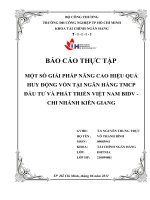 MỘT SỐ GIẢI PHÁP NÂNG CAO HIỆU QUẢ HUY ĐỘNG VỐN TẠI NGÂN HÀNG TMCP ĐẦU TƯ VÀ PHÁT TRIỂN VIỆT NAM BIDV  CHI NHÁNH KIÊN GIANG