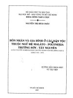 Hôn nhân và gia đình ở các dân tộc thuộc ngữ hệ Malayo  Polynexia Trường Sơn  Tây Nguyên