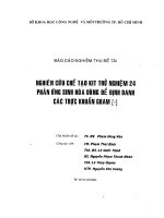 Nghiên cứu chế tạo kit thử nghiệm 24 phản ứng sinh hóa dùng để định danh các trực khuẩn gram [-]