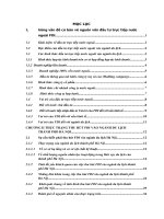 thực trạng thu hút fdi vào ngành du lịch thành phố hà nội