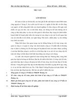 báo cáo thực tập tổng hợp khoa kế toán kiểm toán tại công ty CP đầu tư TM&DV Hoàng An