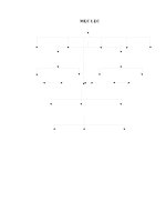 báo cáo thực tập tổng hợp khoa kế toán kiểm toán tại  CÔNG TY CỔ PHẦN DƯƠNG ANH