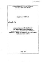 Đặc điểm dịch tễ và đề xuất các biện pháp phòng bệnh do Mycoplasma hyopneumoniae (MH) và virus gây rối loạn sinh sản hô hấp (PRRSV) trên đàn heo giống