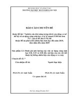 Đánh giá ảnh hưởng của việc sử dụng xăng sinh học E10, E15 và E20 đến vật liệu của các chi tiết thuộc hệ thống nhiên liệu của động cơ xe máy