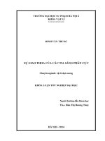 SỰ GIAO THOA CỦA CÁC TIA SÁNG PHÂN CỰC