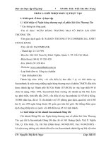 báo cáo thực tập tổng hợp khoa tài chính ngân hàng tại Ngân hàng thương mại cổ phần Sài Gòn Thương Tín chi nhanh  dong do