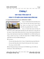 Kế toán doanh thu, chi phí và xác định kết quả kinh doanh tại công ty cổ phần kinh doanh nhà đồng nai