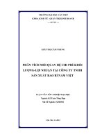 phân tích mối quan hệ chi phí  khối lượng  lời nhuận tai cty TNHH sản xuất bao bì nam việt