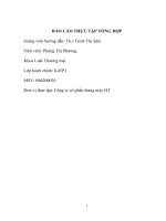 báo cáo thực tập tổng hợp khoa kinh tế luật tạicông ty cổ phần thang máy HT)