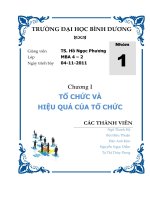 Tiểu luận môn Lý thuyết công ty TỔ CHỨC VÀ HIỆU QUẢ CỦA TỔ CHỨC