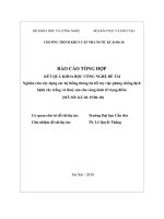 Nghiên cứu xây dựng các hệ thống thông tin hỗ trợ việc phòng chống dịch bệnh cây trồng và thuỷ sản cho vùng kinh tế trọng điểm