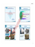 Nội dung chuyên đề khoa học về “Xử lý nước thải lò giết mổ gia súc tập trung bằng đĩa quay sinh học”