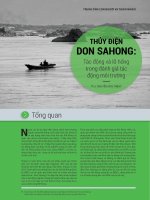 THỦY ĐIỆN DON SAHONG : Tác động và lỗ hổng trong đánh giá tác động môi trường