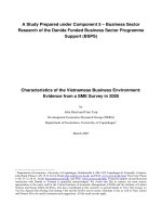 A Study Prepared under Component 5 – Business Sector Research of the Danida Funded Business Sector Programme Support (BSPS)