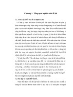 Kế toán phải trả người bán tại chi nhánh công ty cổ phần tập đoàn Nam Cường tại Hải Dương 1