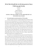 Phát triển phối thức xúc tiến thương mại của Công ty TNHH công nghệ Tân Đức.