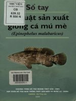 Sổ tay kỹ thuật sản xuất giống cá mú mè (Epinephelus malabaricus)