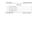 Giải pháp duy trì hệ thống quản trị tích hợp ISO 90012000, HACCP tại Công ty CP Thực phẩm Đức Việt