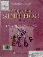 Công nghệ sinh học.Tập 3 Enzyme và ứng dụng