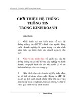 giới thiệu hệ thống thông tin trong kinh doanh