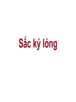 Bài giảng chủ đề Sắc ký lỏng
