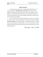 lợi nhuận và nâng cao lợi nhuận trong công ty cổ phần XD & TM Thành Phát (2)