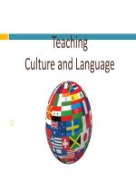 Teaching Culture and Language