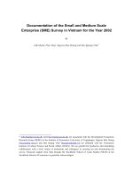 Documentation of the Small and Medium Scale Enterprise (SME) Survey in Vietnam for the Year 2002