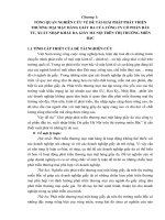 Giải pháp phát triển thương mại mặt hàng giầy da của công ty cổ phần đầu tư, xuất nhập khẩu da giầy Hà Nội trên thị trường miền Bắc